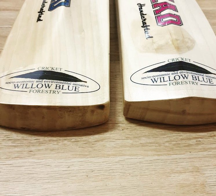 Hand crafted crickets bats from the bush!   are th…